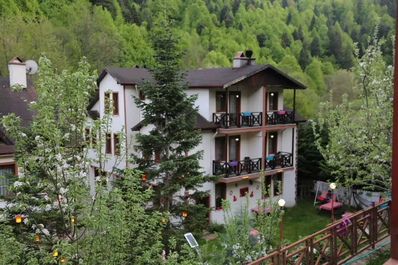 ABANT DORT MEVSİM KONAĞI HOSTEL