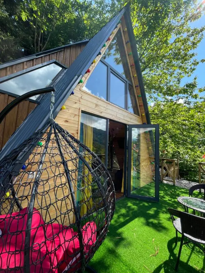 Forest House