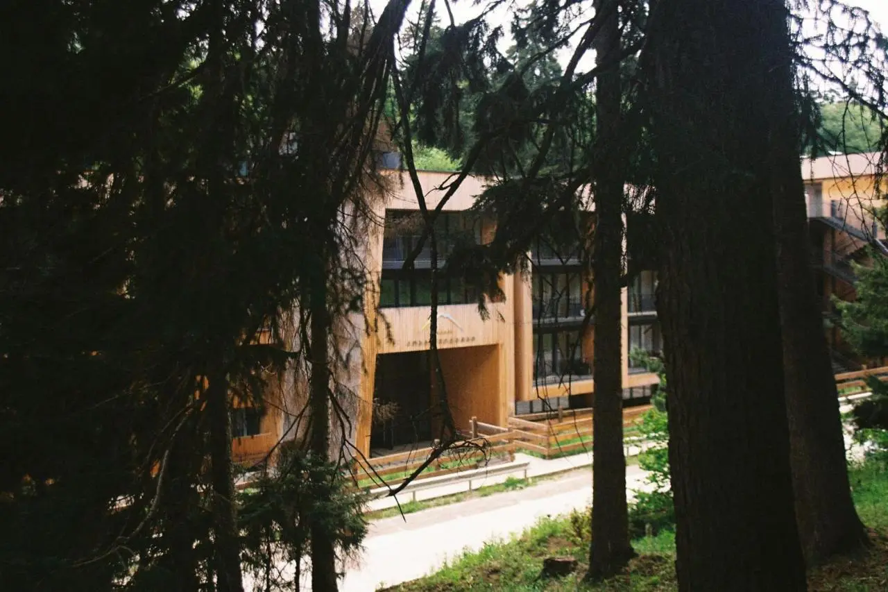 Forest View Apartment near Ski Lift