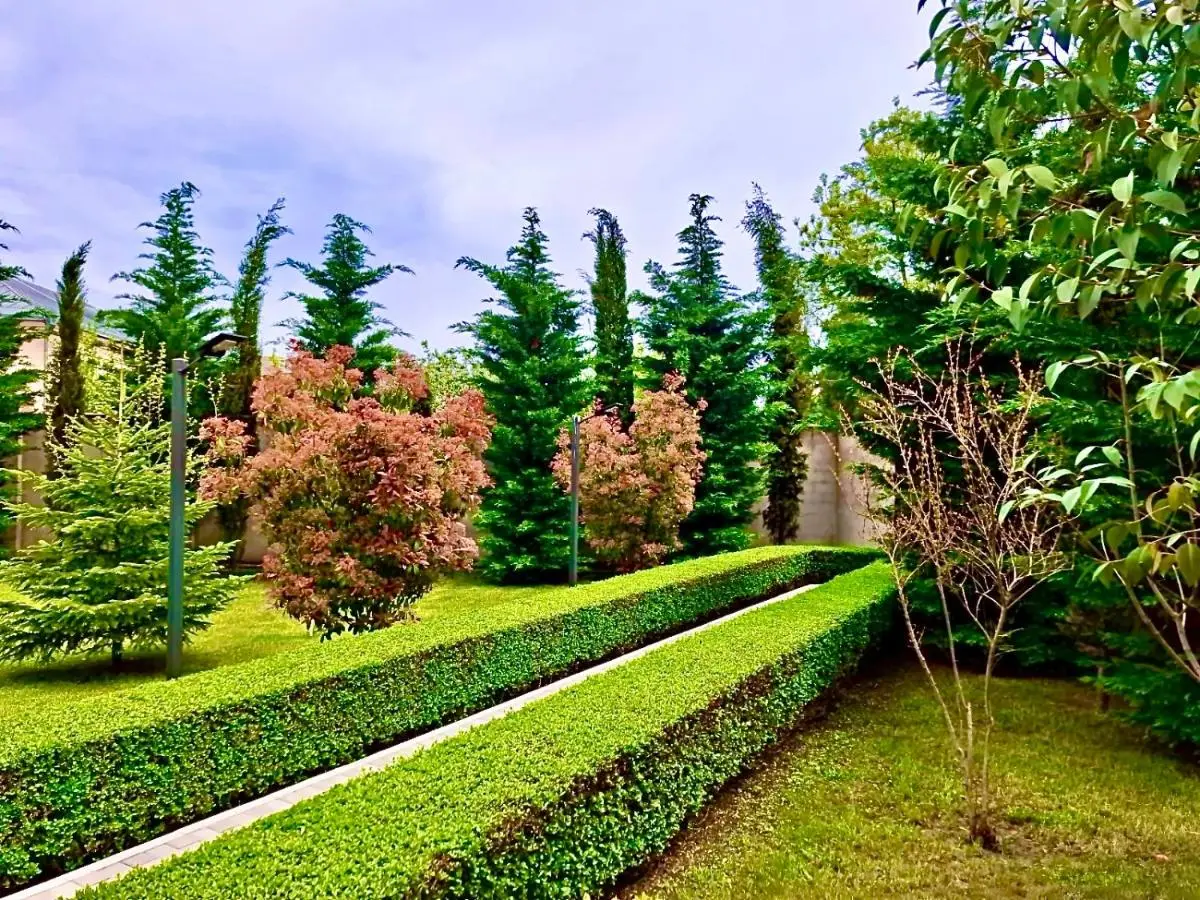 Villa Lux in Quba
