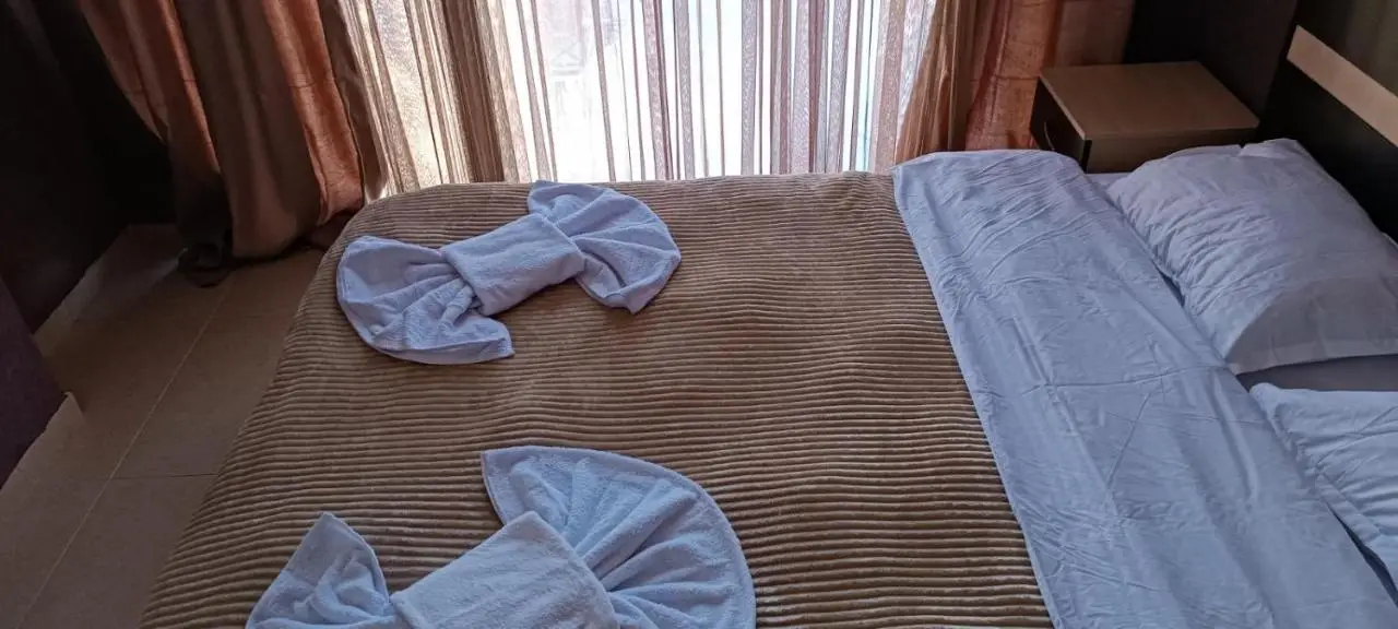 Park Apartment at Hillside Bakuriani