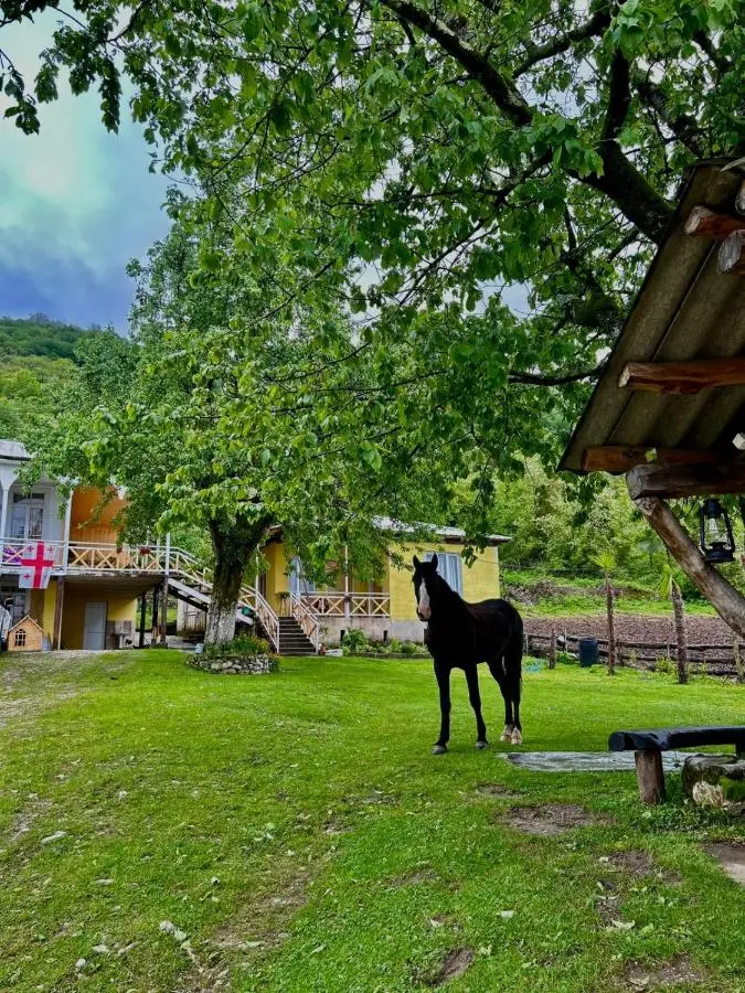 Guest House Balda