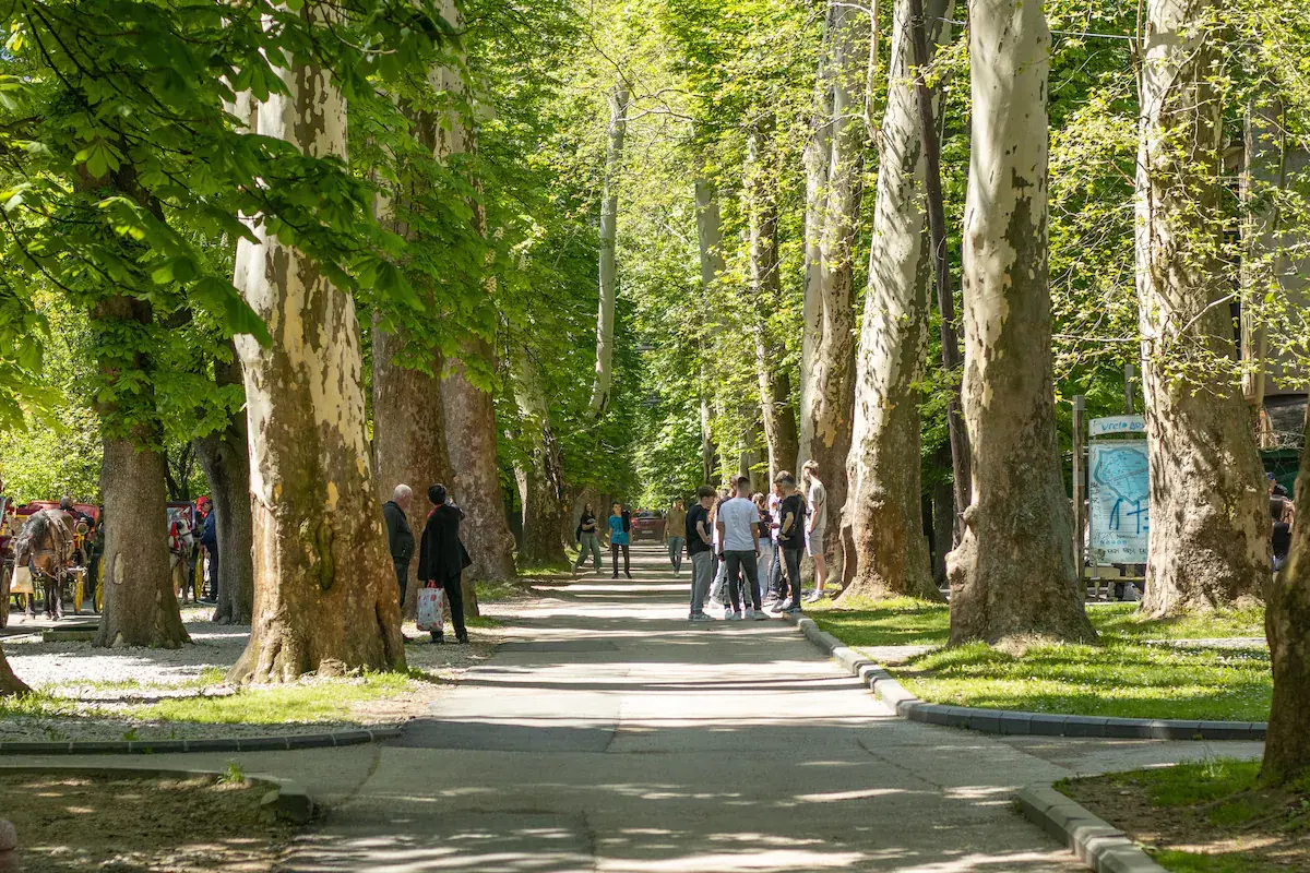 Ilidza Park King Studio