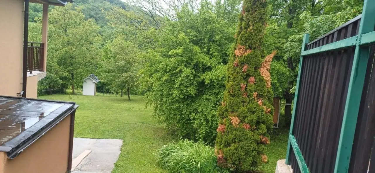 Mahala Rakovica