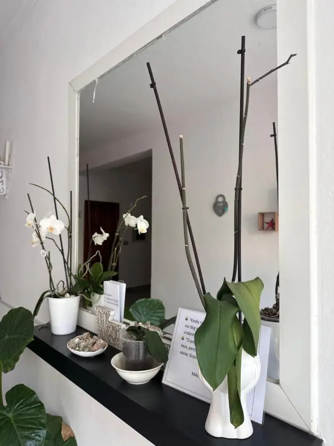Mabel Rooms