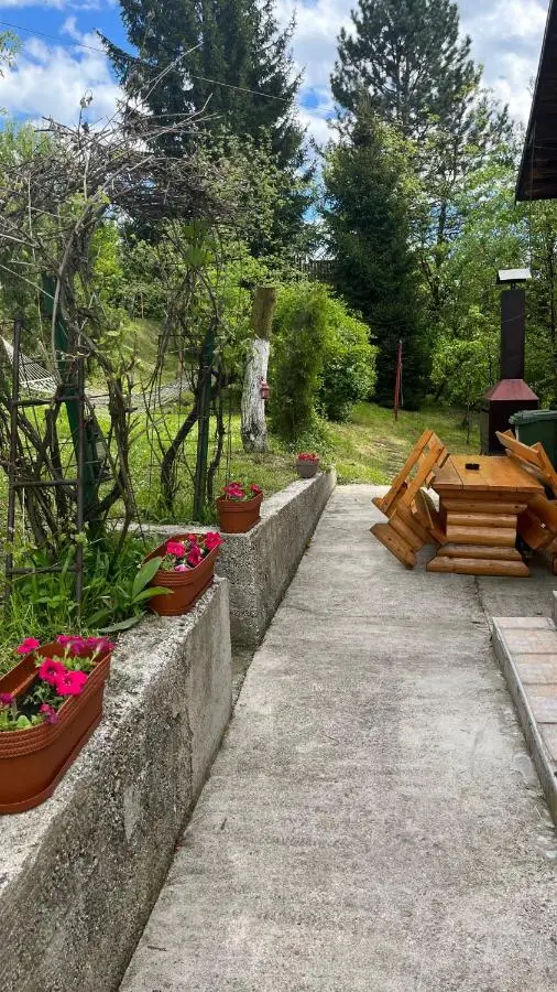 Piccola foresta