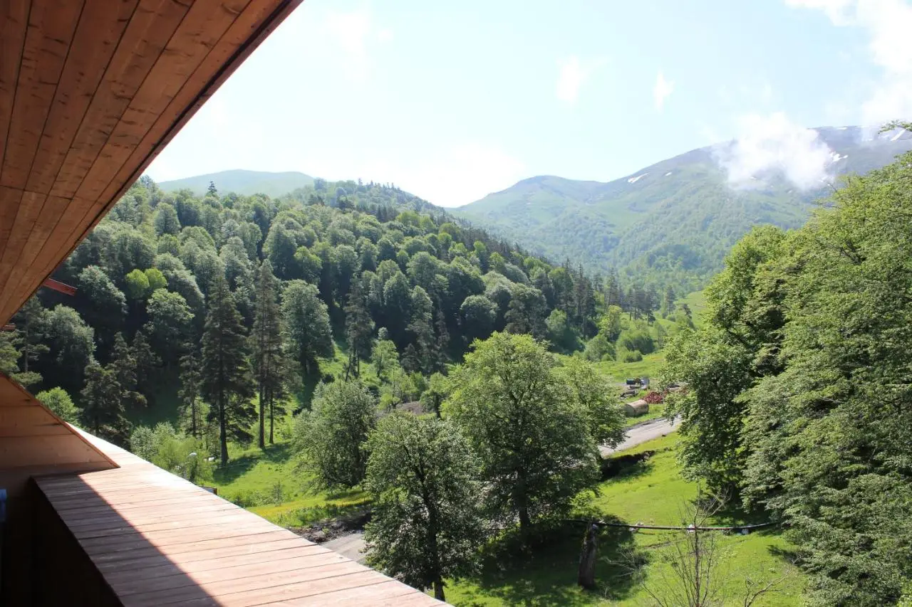 Bakuriani Valley