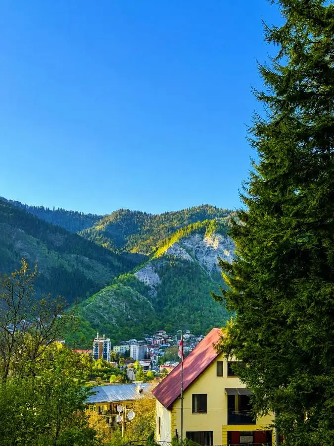 Hotel forest echo