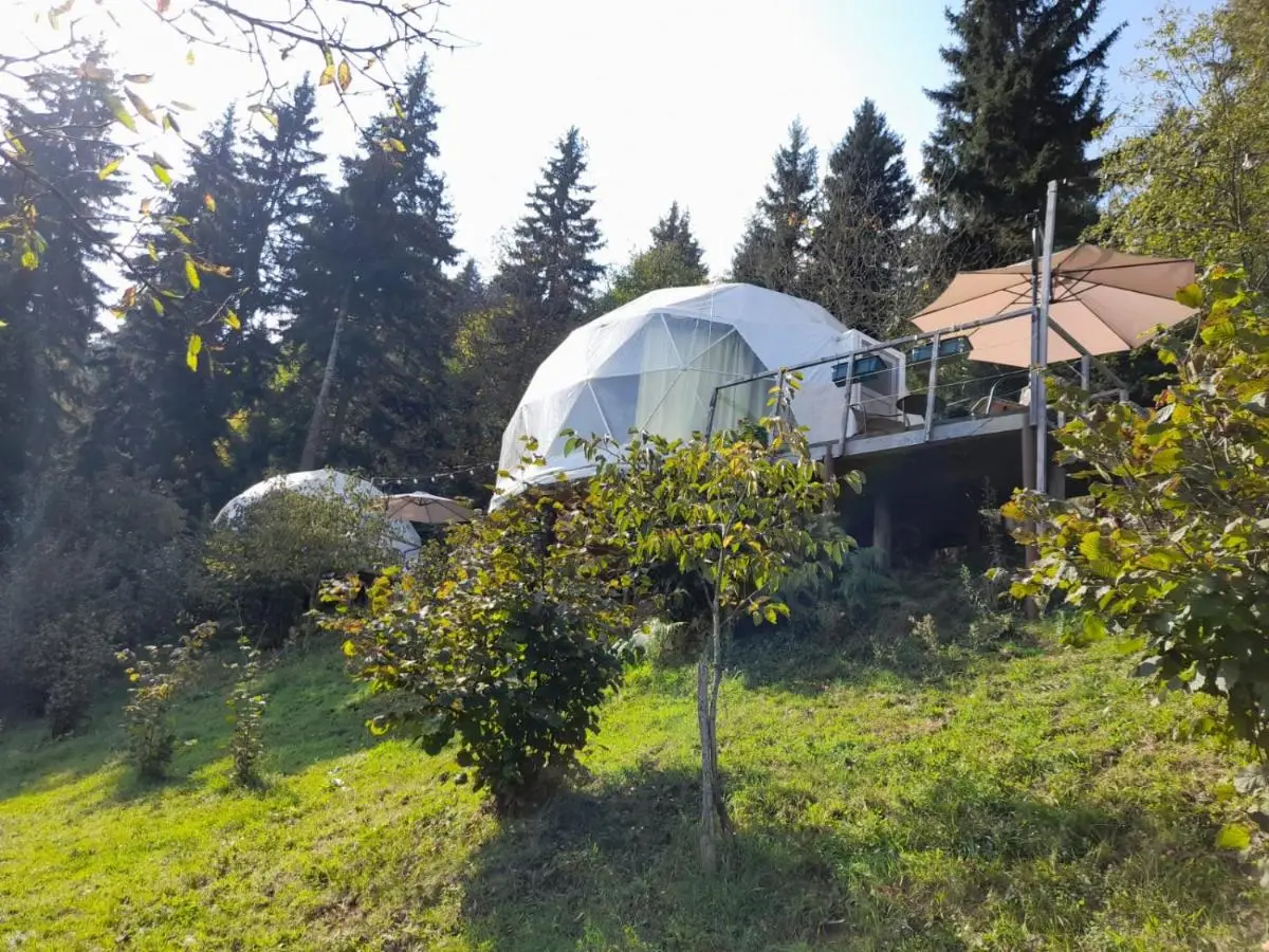 Ajara Glamping Kokotauri