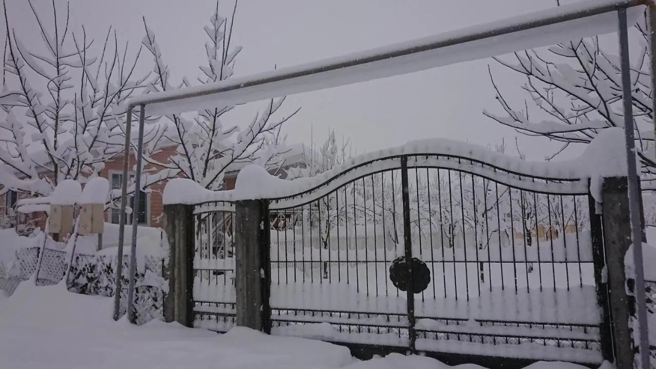 Our Garden