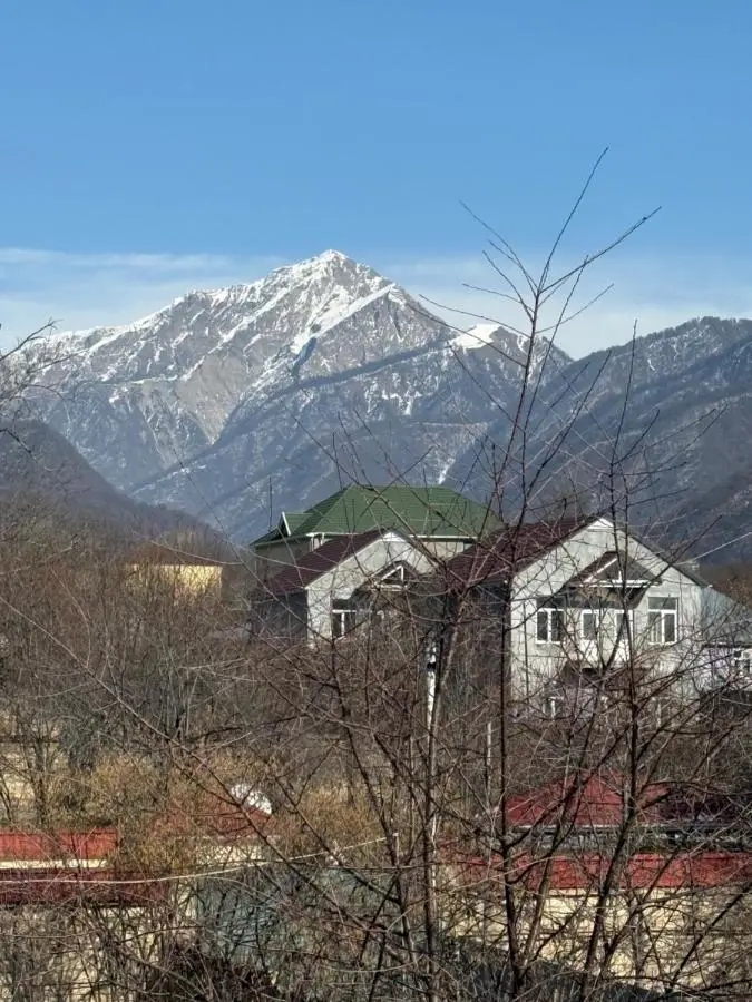 Gabala Palm Villa