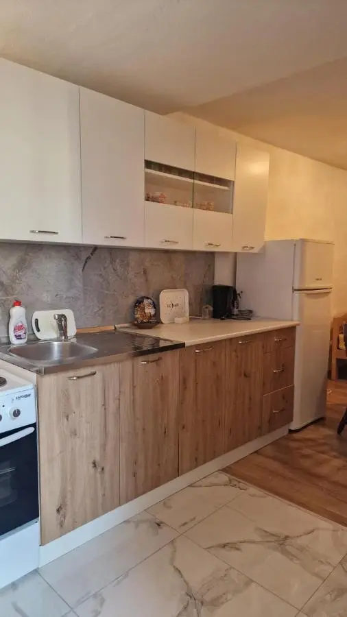 Apartment Anis