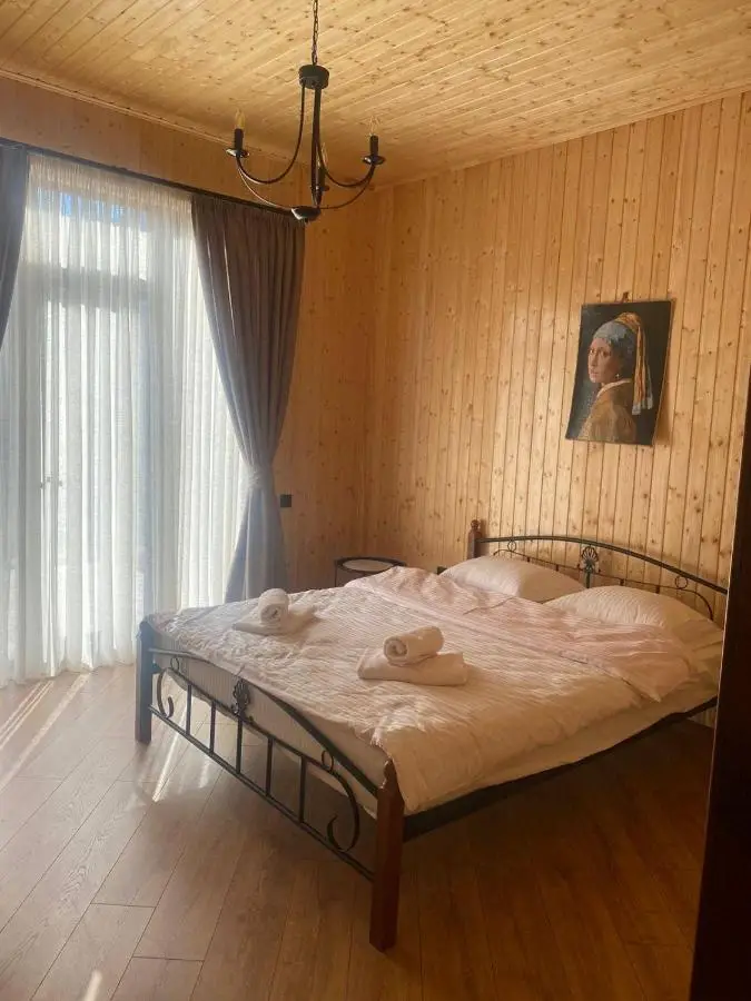 Dream House borjomi sadgeri