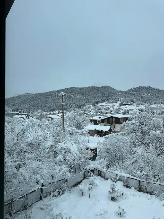 Bakuriani Cottages