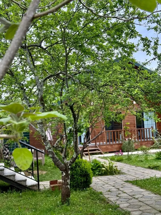 sweet village