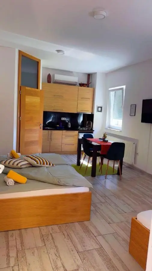 Apartment Vila Tara