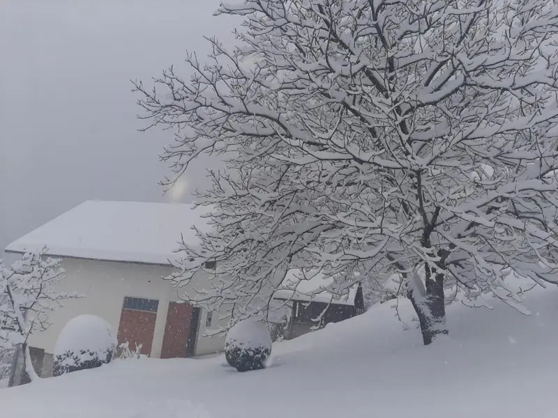 Planinska kuća ,,Furtula" Jahorina