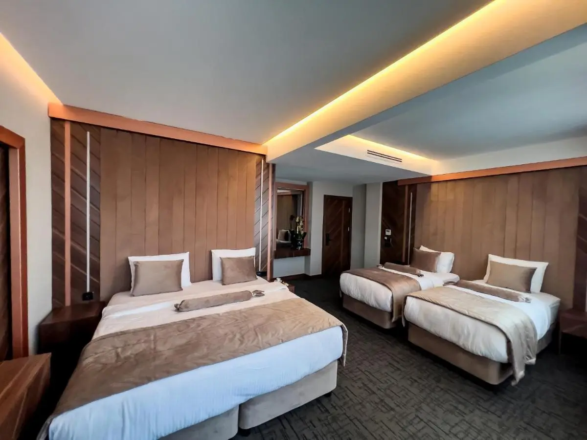 THE PARK HOTEL