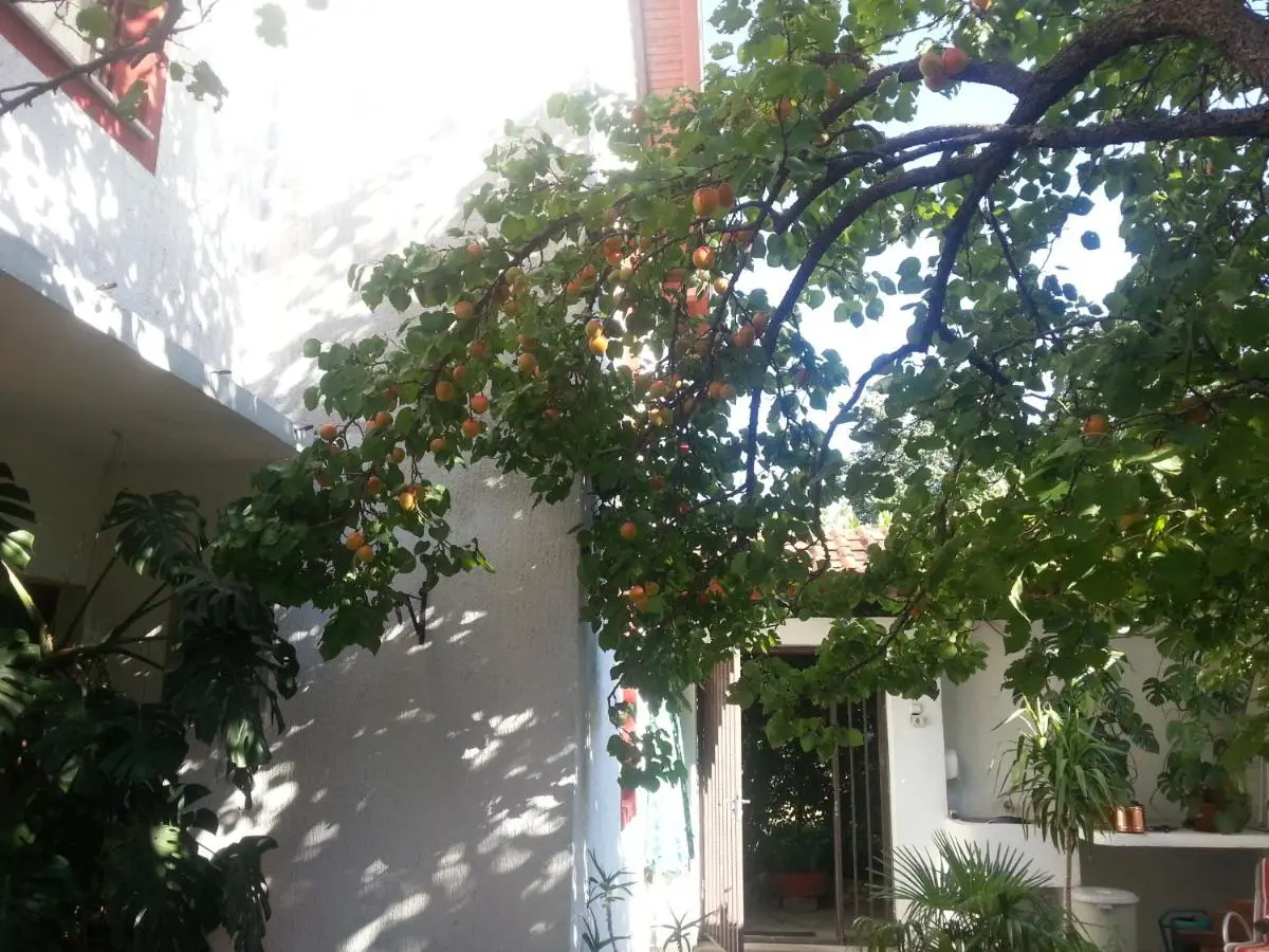 Guest House Goa Mostar