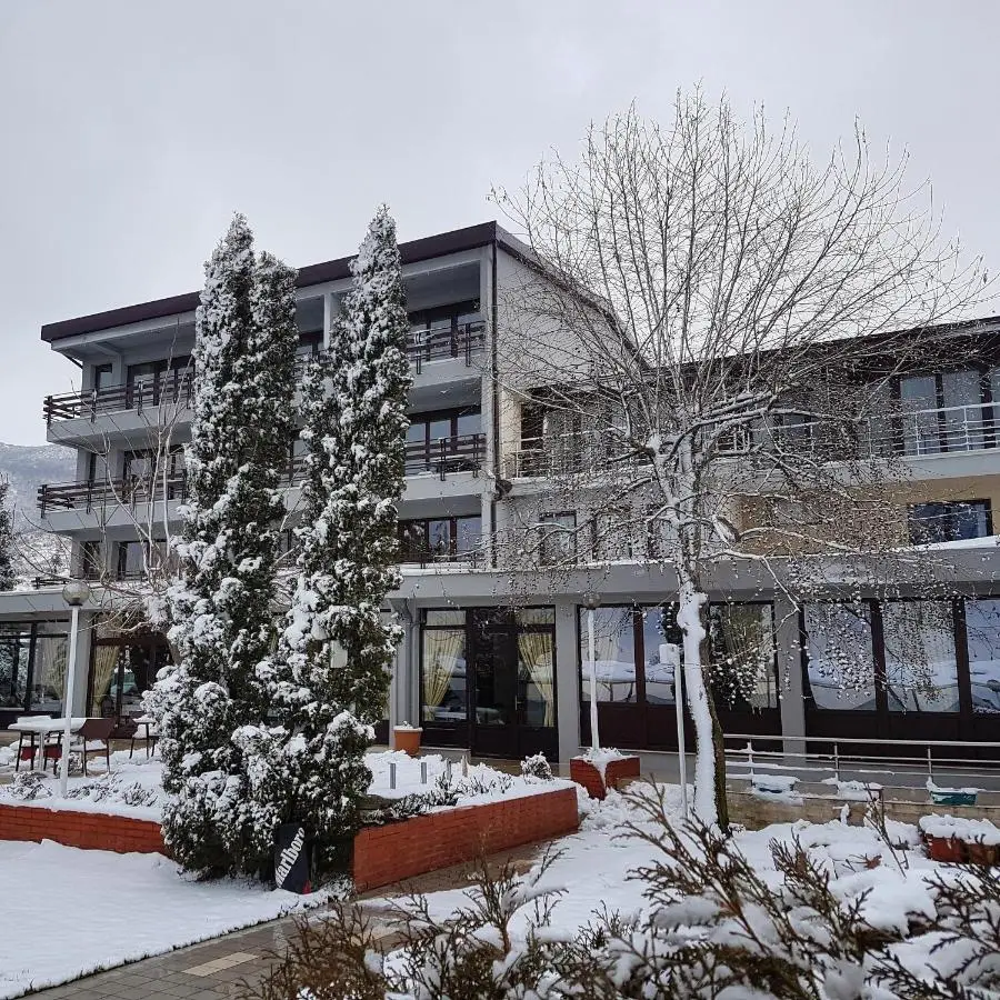 Hotel Millennium