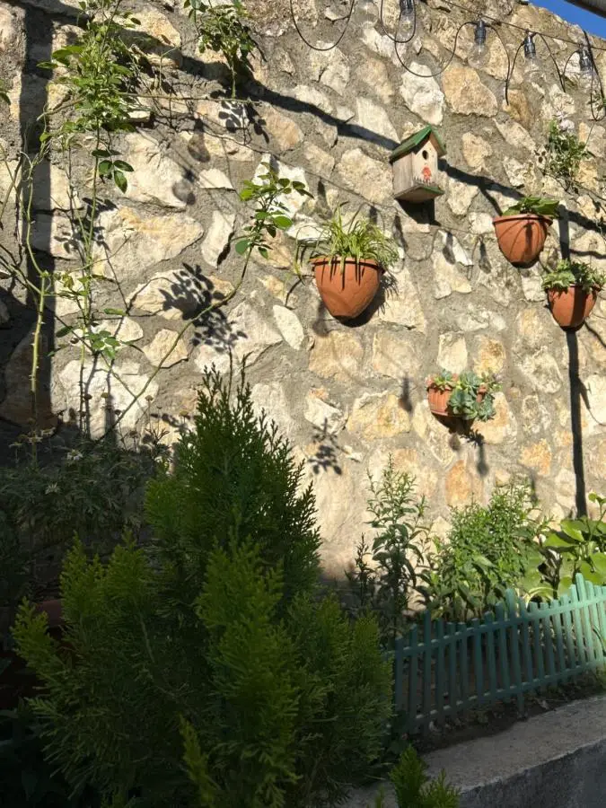 Guest House Panda