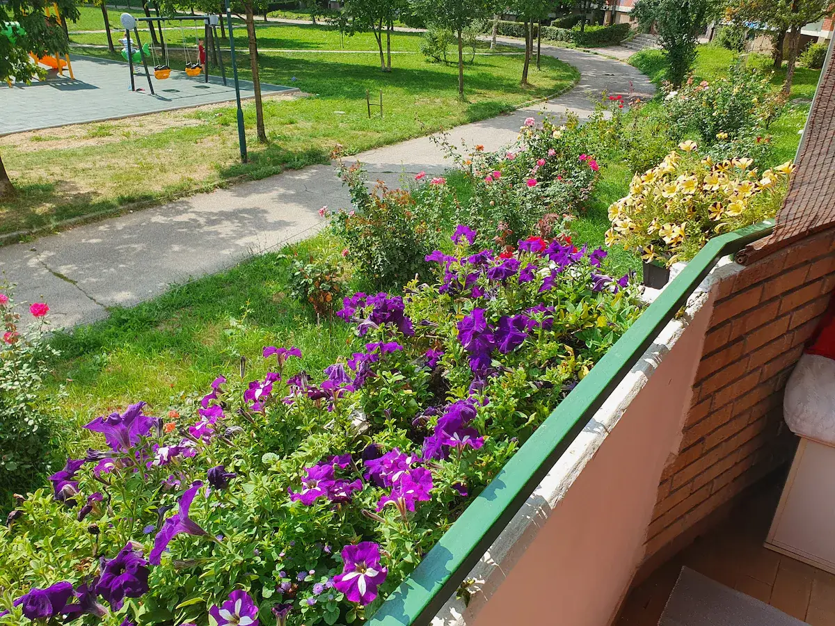 Medena apartment