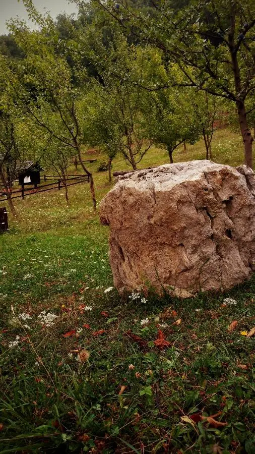 Nektar Park Villa Sara