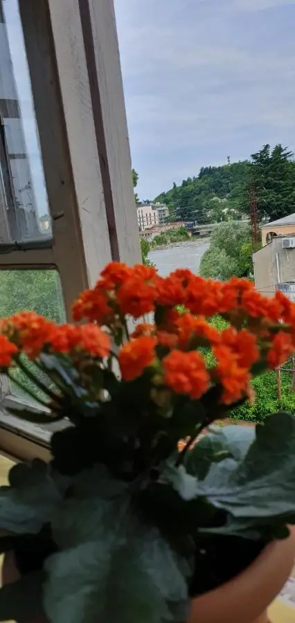 Bookinist Apartment