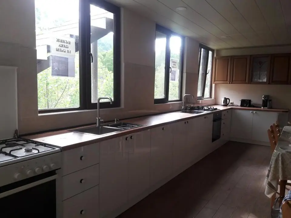 Hotel Villa Borjomi