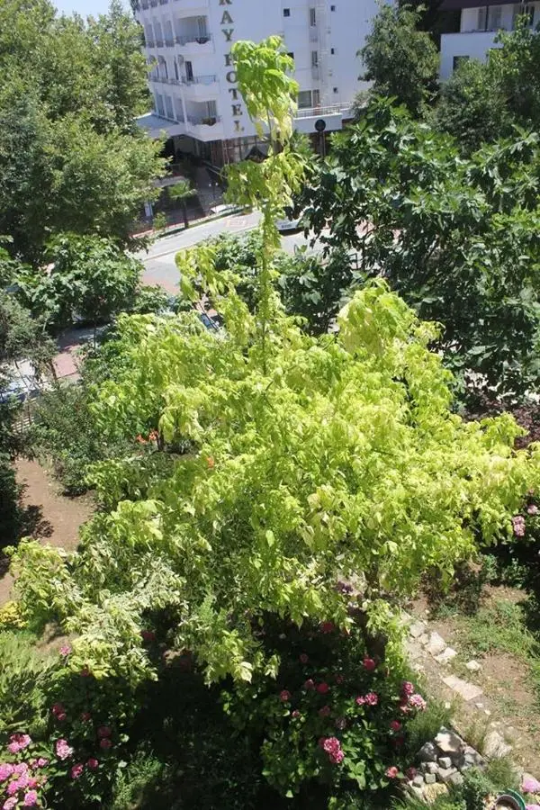 Thermal Orkide Pansiyon