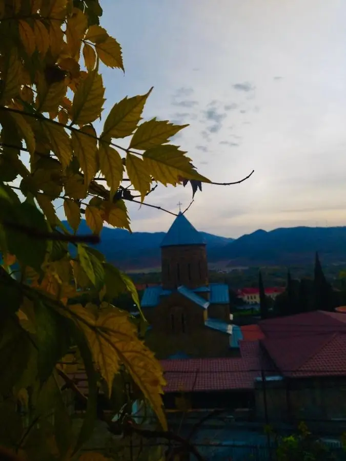 garden and panorama