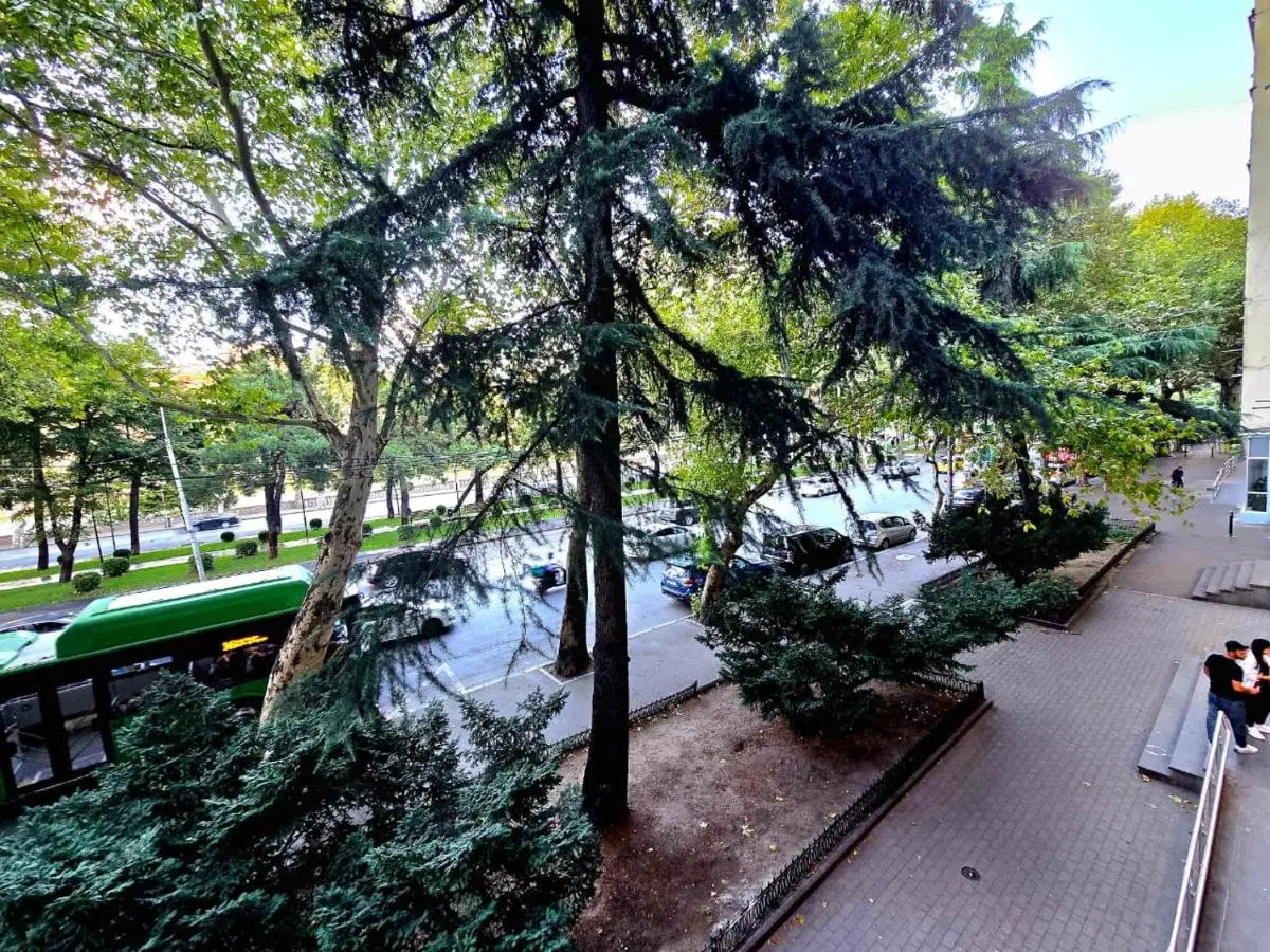 Explore Old Tbilisi, 3BR Apartment for 5, Walk to All
