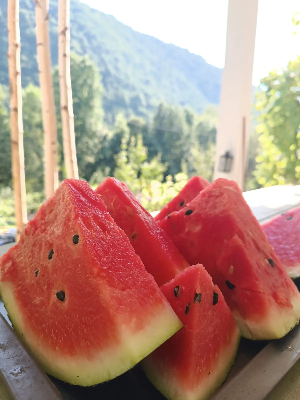 MontenegrinaBiH