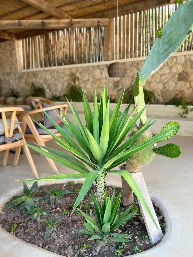 Le Rêve Boutique Hotel