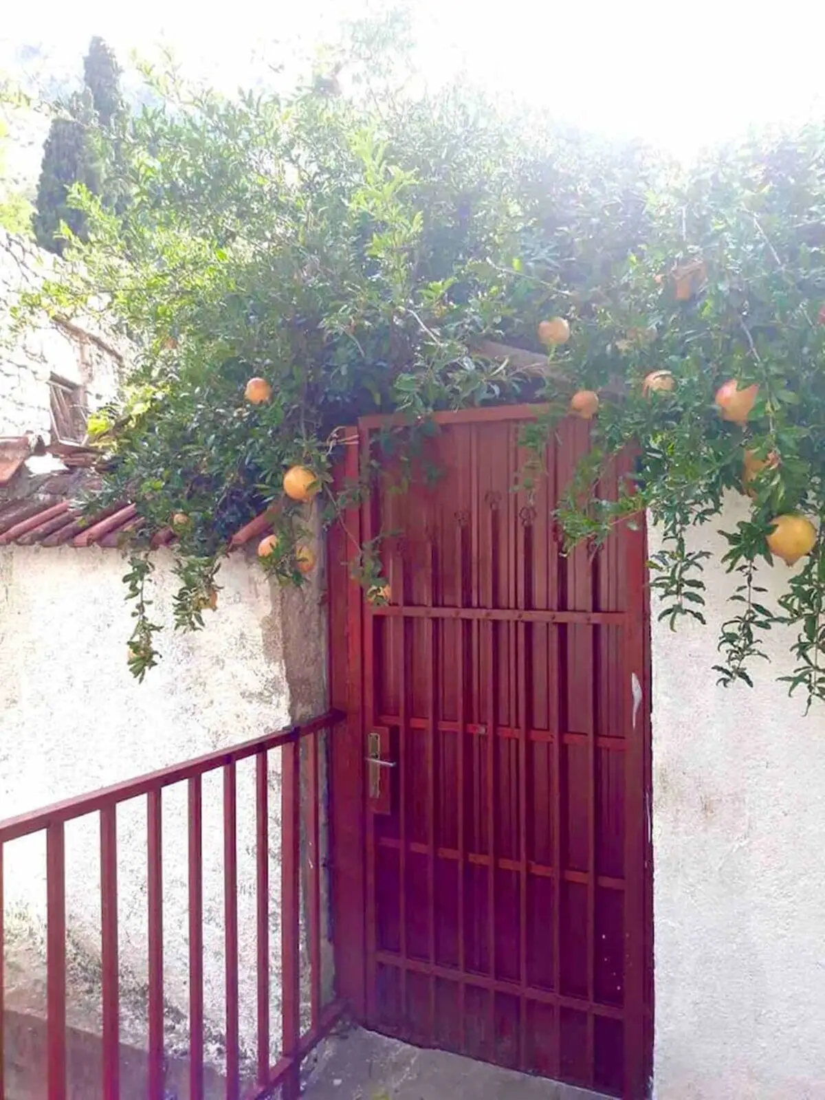 Naar 1 - cozy APT+ FREE PARKING