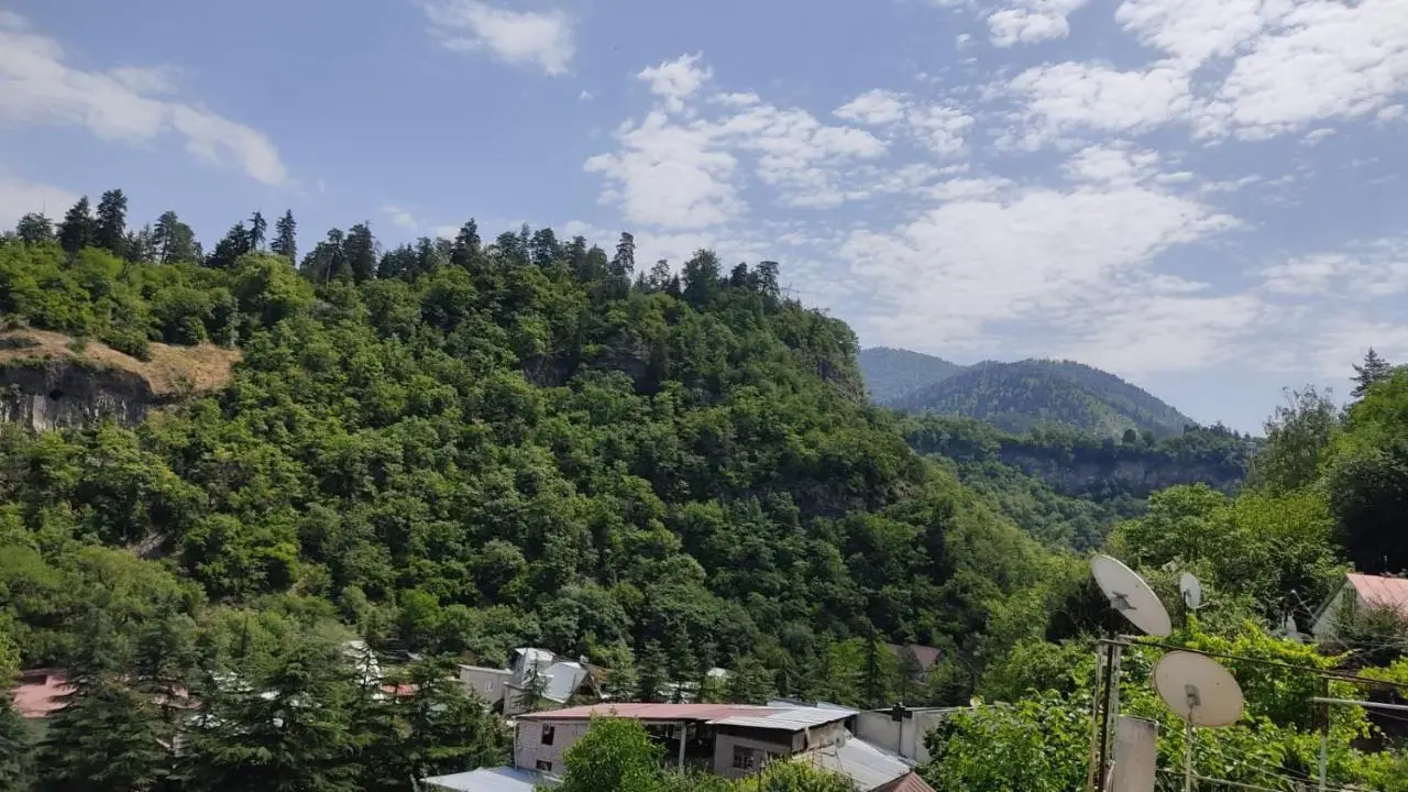 Borjomi Nest