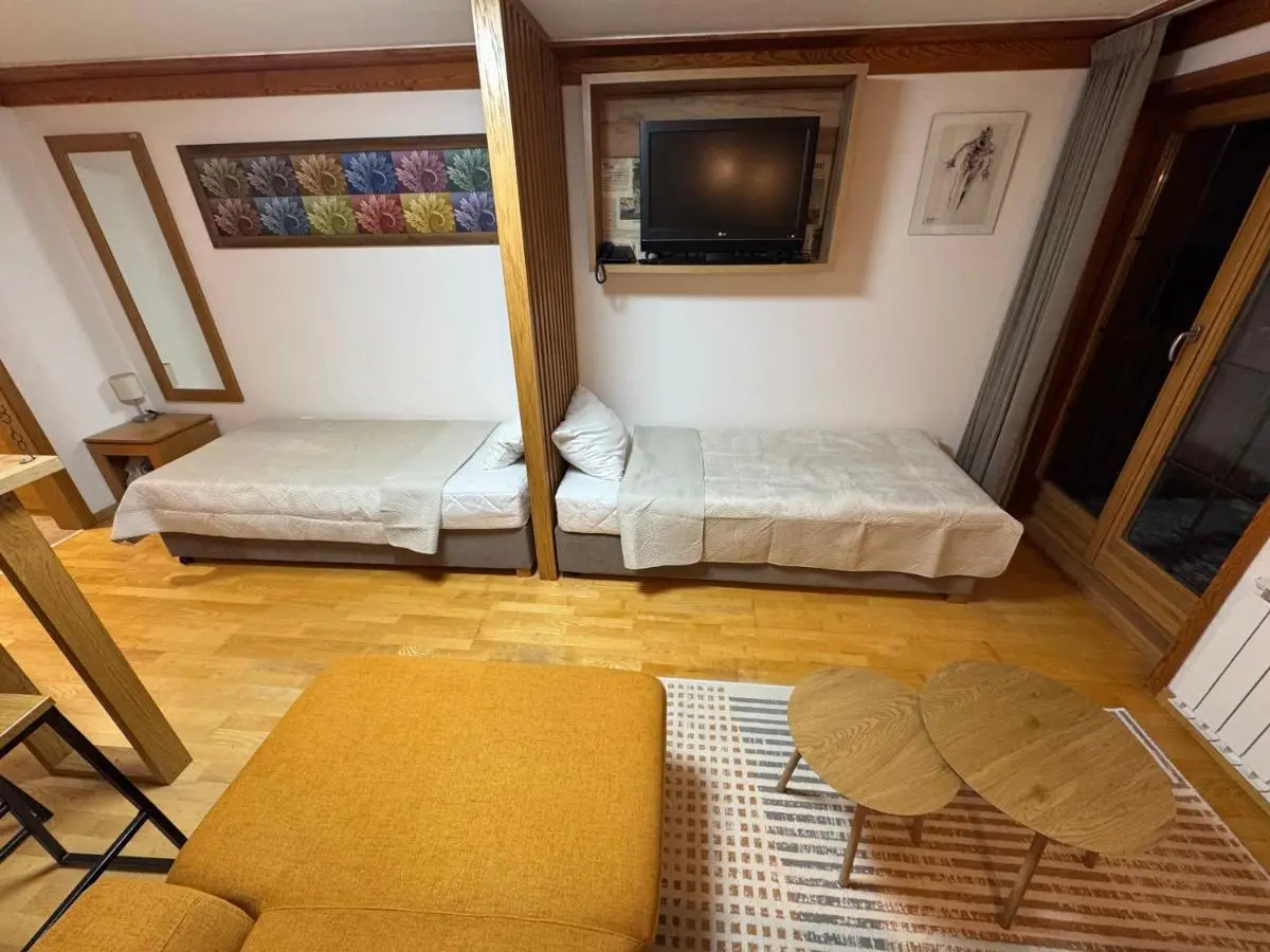 Apartment 122 - Aparthotel Vučko Jahorina - private host