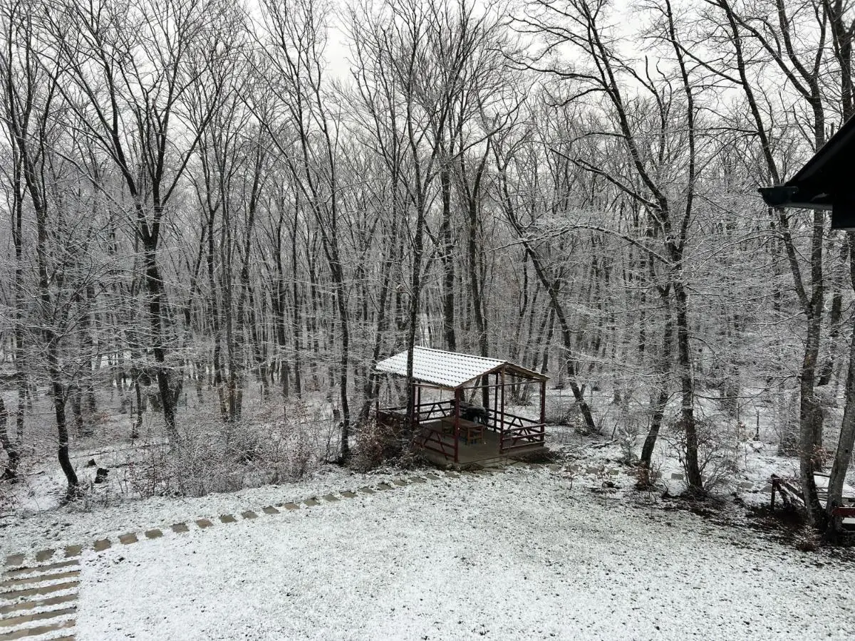 CHALET WOODS GUSAR