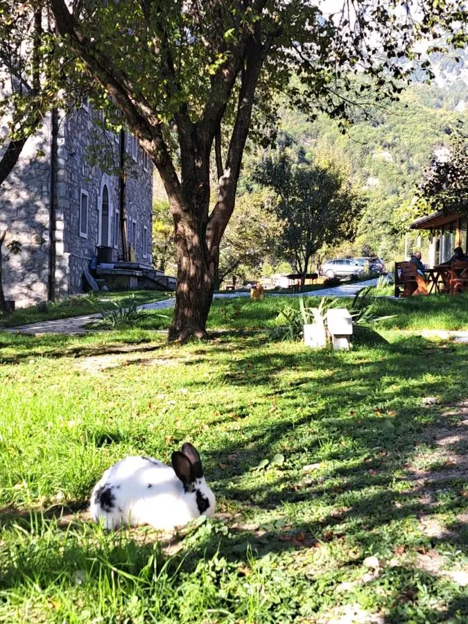 Villa Gjeçaj Guesthouse and Restaurant