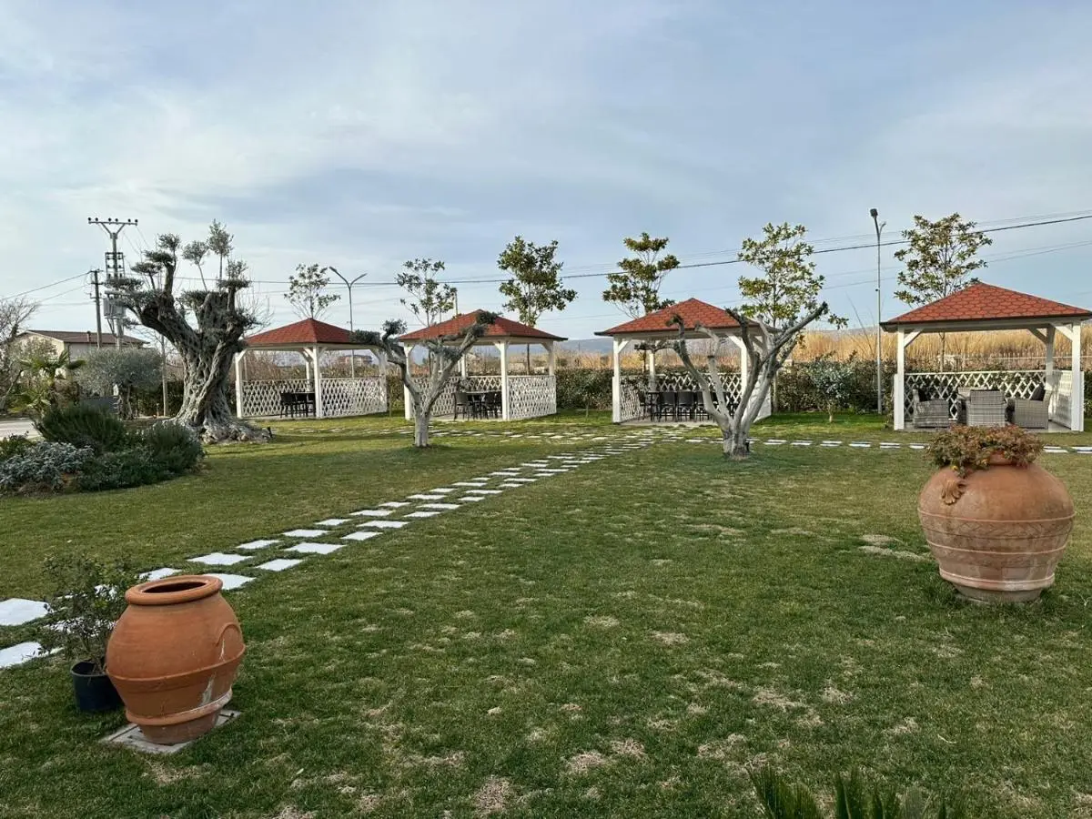 Evergreen Laguna Vain-Lezhe