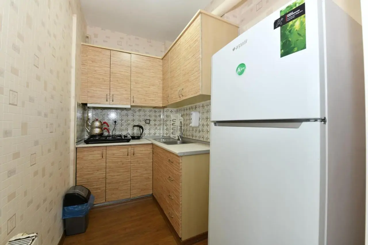 Nasiroglu Apartment