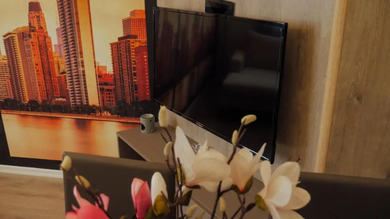 Newly renovated apartment