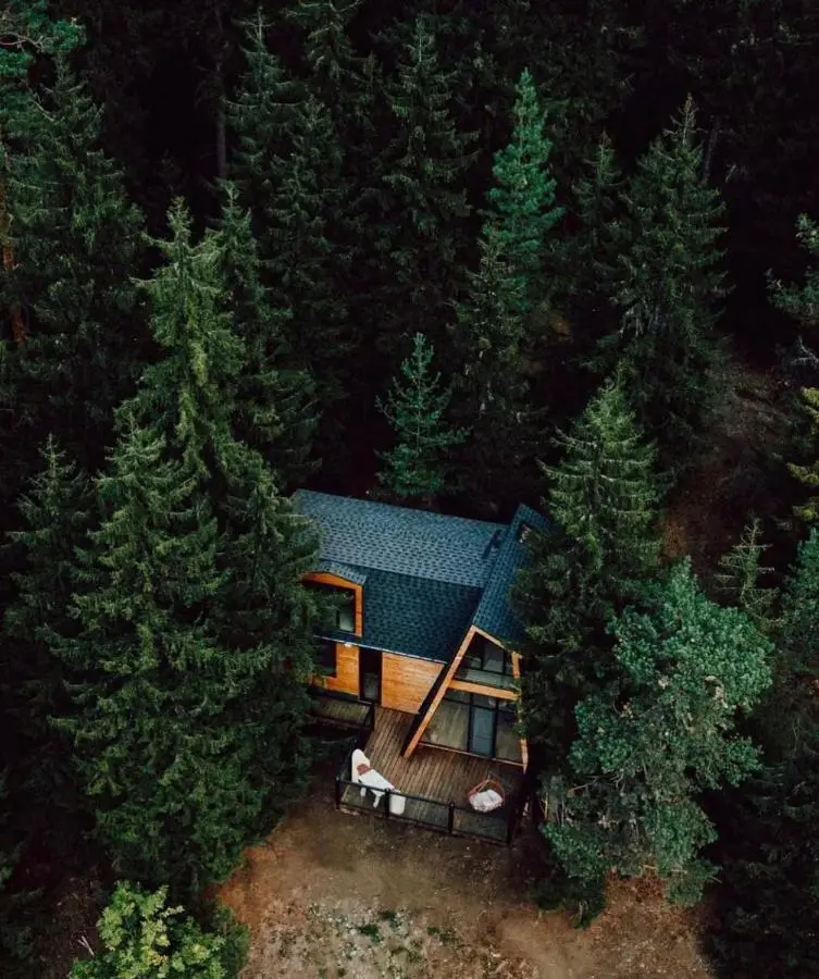 Cottage Galileo in Abastumani
