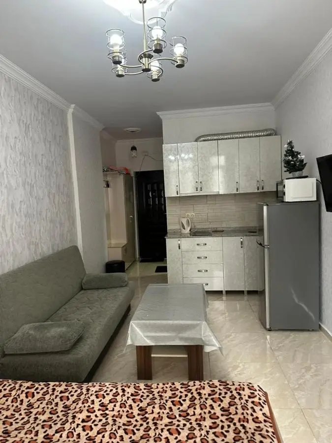 Батуми центр , апартаменты 2 минуты море
