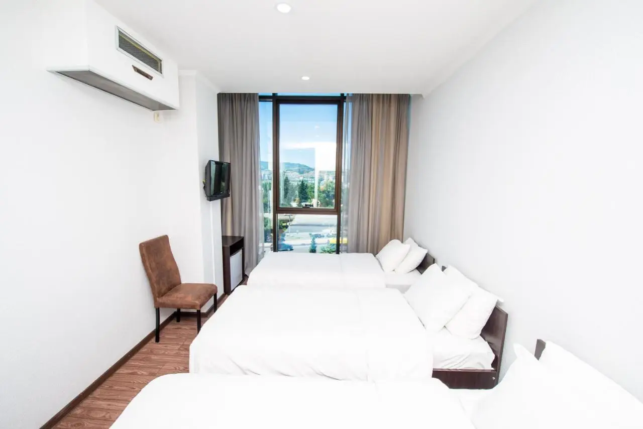 Hotel Shine Palace
