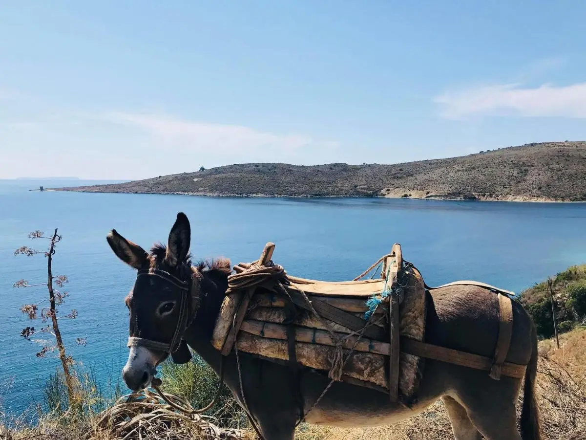 Geo & Art Boutique Hotel Himara