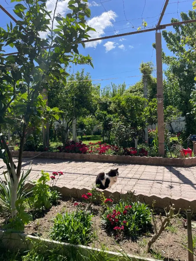 Guest House Miracle Garden