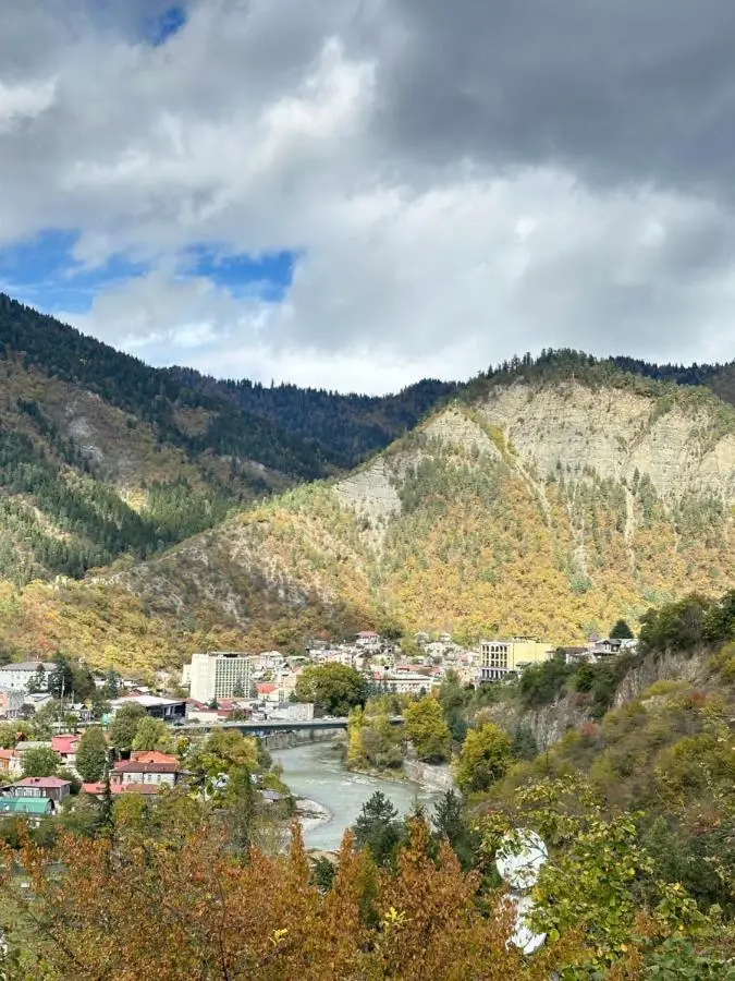 Woodland Borjomi