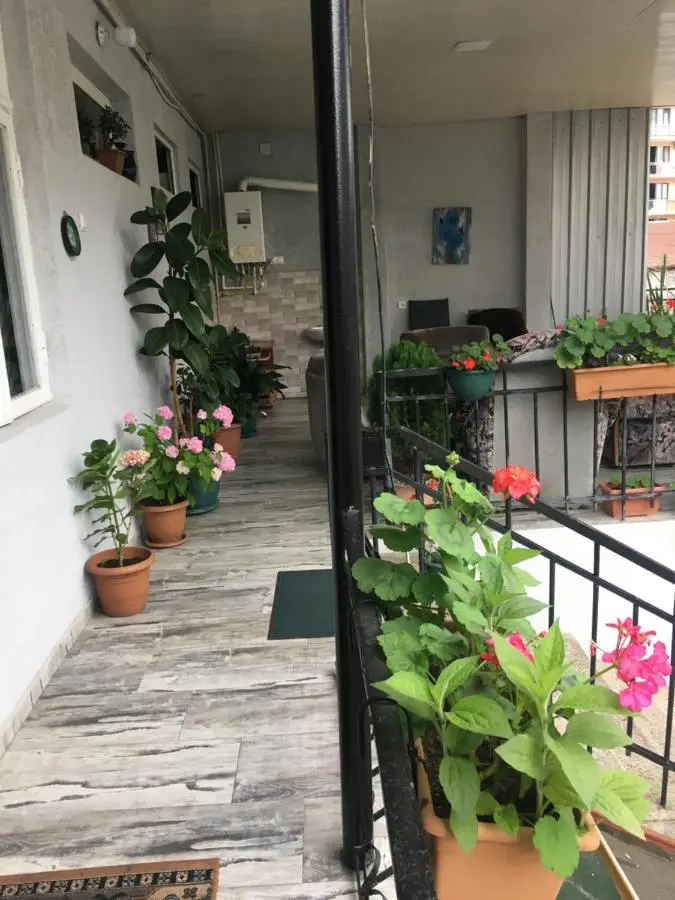 Eka Guest House