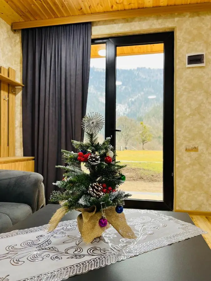 Buddy House Borjomi